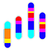 PersonalityDNA Logo